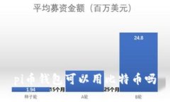 可以用比特币的Pi币钱包