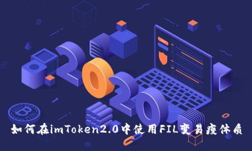 如何在imToken2.0中使用FIL变易瘦体质