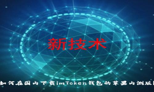 如何在国内下载imToken钱包的苹果内测版？