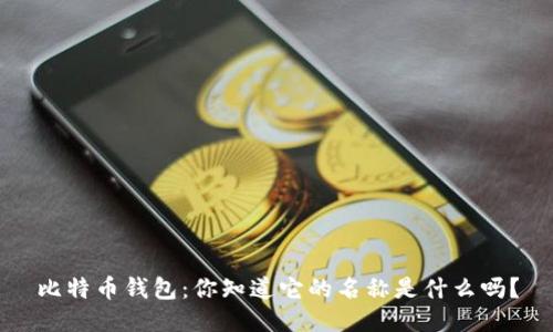 比特币钱包：你知道它的名称是什么吗？