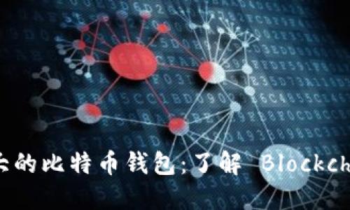 世界最大的比特币钱包：了解 Blockchain.com