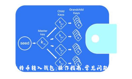 如何将比特币转入钱包：操作指南、常见问题及解决方法