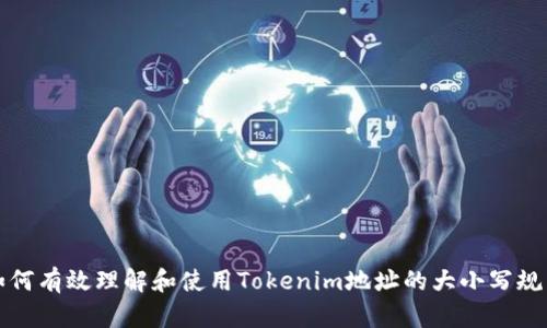 如何有效理解和使用Tokenim地址的大小写规则